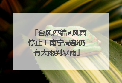 台风停编≠风雨停止！南宁局部仍有大雨到暴雨