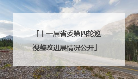 十一届省委第四轮巡视整改进展情况公开