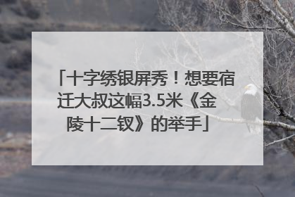 十字绣银屏秀！想要宿迁大叔这幅3.5米《金陵十二钗》的举手