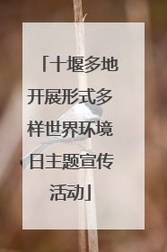 十堰多地开展形式多样世界环境日主题宣传活动