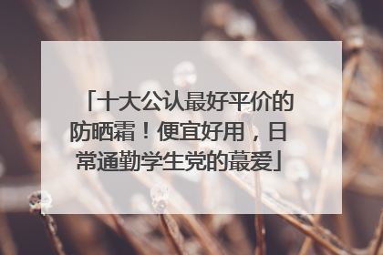 十大公认最好平价的防晒霜！便宜好用，日常通勤学生党的蕞爱
