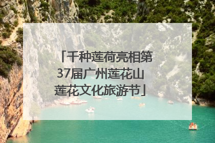 千种莲荷亮相第37届广州莲花山莲花文化旅游节