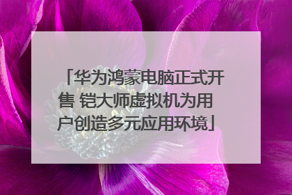 华为鸿蒙电脑正式开售 铠大师虚拟机为用户创造多元应用环境