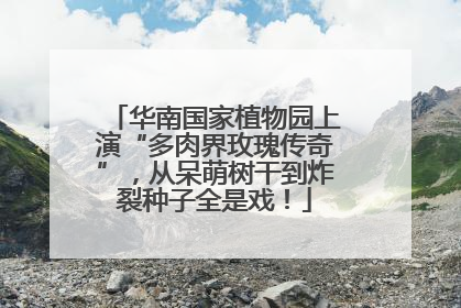 华南国家植物园上演“多肉界玫瑰传奇”，从呆萌树干到炸裂种子全是戏！