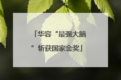 华容“最强大脑”斩获国家金奖