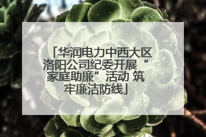 华润电力中西大区洛阳公司纪委开展“家庭助廉”活动 筑牢廉洁防线