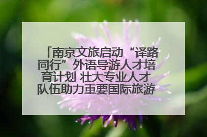 南京文旅启动“译路同行”外语导游人才培育计划 壮大专业人才队伍助力重要国际旅游目的地建设