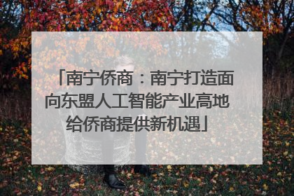 南宁侨商：南宁打造面向东盟人工智能产业高地给侨商提供新机遇