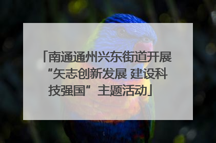 南通通州兴东街道开展“矢志创新发展 建设科技强国”主题活动