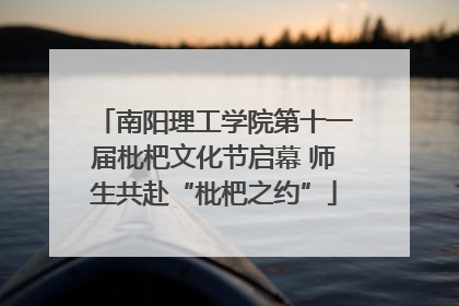 南阳理工学院第十一届枇杷文化节启幕 师生共赴“枇杷之约”