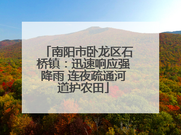 南阳市卧龙区石桥镇：迅速响应强降雨 连夜疏通河道护农田