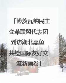 博茨瓦纳民主变革联盟代表团到访湖北嘉鱼 共绘国际友好交流新画卷