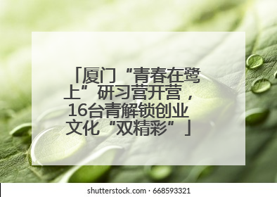 厦门“青春在鹭上”研习营开营，16台青解锁创业文化“双精彩”