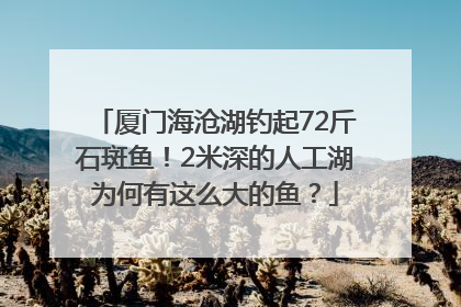 厦门海沧湖钓起72斤石斑鱼！2米深的人工湖为何有这么大的鱼？
