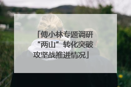 傅小林专题调研“两山”转化突破攻坚战推进情况