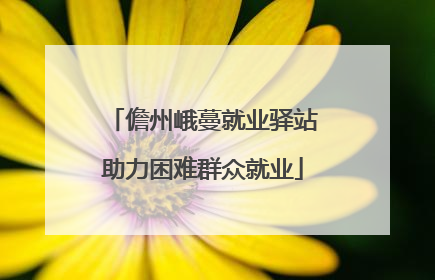 儋州峨蔓就业驿站助力困难群众就业