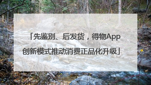 先鉴别、后发货，得物App创新模式推动消费正品化升级