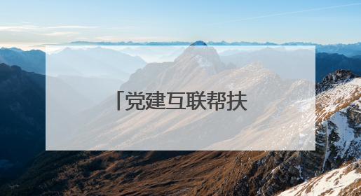 党建互联帮扶合作 为乡村发展注入活力