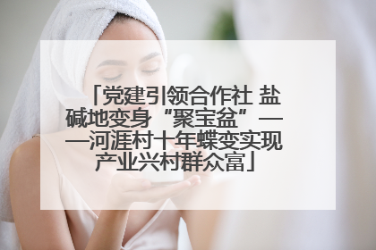 党建引领合作社 盐碱地变身“聚宝盆”——河涯村十年蝶变实现产业兴村群众富