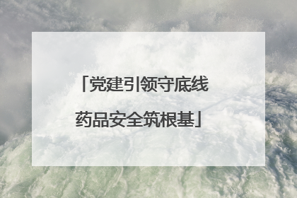 党建引领守底线 药品安全筑根基
