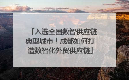 入选全国数智供应链典型城市！成都如何打造数智化外贸供应链