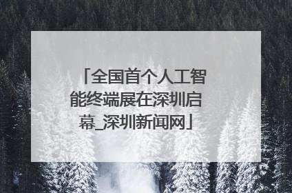 全国首个人工智能终端展在深圳启幕_深圳新闻网