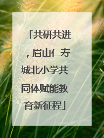 共研共进，眉山仁寿城北小学共同体赋能教育新征程