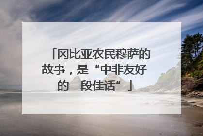 冈比亚农民穆萨的故事，是“中非友好的一段佳话”