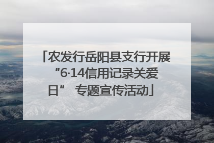 农发行岳阳县支行开展“6·14信用记录关爱日” 专题宣传活动
