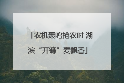 农机轰鸣抢农时 湖滨“开镰”麦飘香