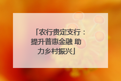 农行贵定支行：提升普惠金融 助力乡村振兴