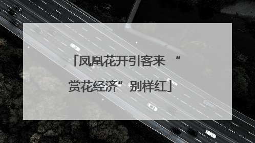 凤凰花开引客来 “赏花经济”别样红