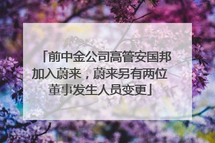 前中金公司高管安国邦加入蔚来，蔚来另有两位董事发生人员变更