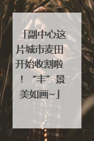 副中心这片城市麦田开始收割啦！“丰”景美如画~