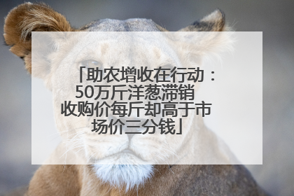 助农增收在行动：50万斤洋葱滞销 收购价每斤却高于市场价三分钱