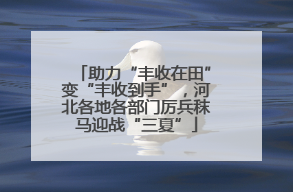 助力“丰收在田”变“丰收到手”，河北各地各部门厉兵秣马迎战“三夏”