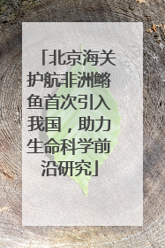 北京海关护航非洲鳉鱼首次引入我国，助力生命科学前沿研究