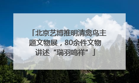 北京艺博推明清禽鸟主题文物展，80余件文物讲述“瑞羽鸣祥”