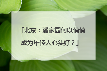 北京：潘家园何以悄悄成为年轻人心头好？