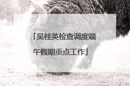 吴桂英检查调度端午假期重点工作