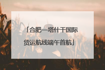 合肥—塔什干国际货运航线端午首航