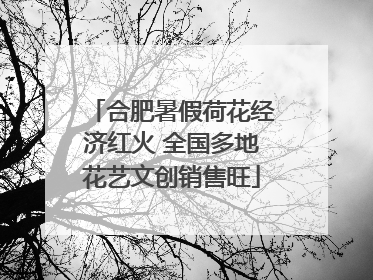 合肥暑假荷花经济红火 全国多地花艺文创销售旺