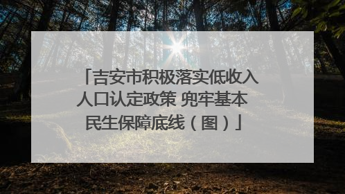 吉安市积极落实低收入人口认定政策 兜牢基本民生保障底线（图）