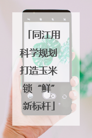 同江用科学规划打造玉米锁“鲜”新标杆