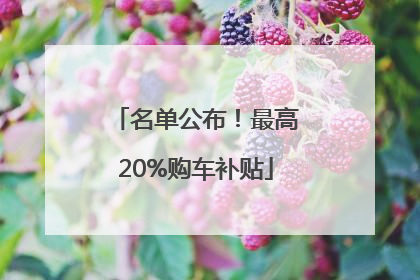 名单公布！最高20%购车补贴