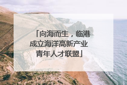 向海而生，临港成立海洋高新产业青年人才联盟