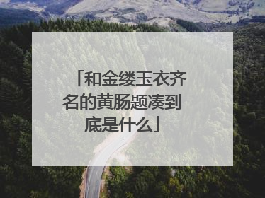 和金缕玉衣齐名的黄肠题凑到底是什么
