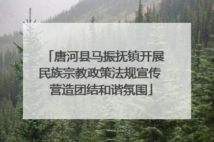 唐河县马振抚镇开展民族宗教政策法规宣传 营造团结和谐氛围
