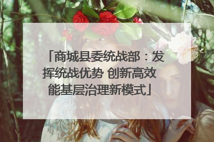 商城县委统战部：发挥统战优势 创新高效能基层治理新模式