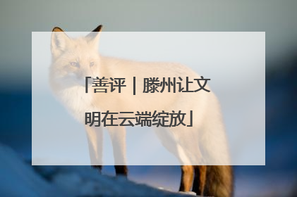 善评｜滕州让文明在云端绽放